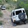 A couple of 4 by 4 vehicles drive down a rocky road with trees on either side